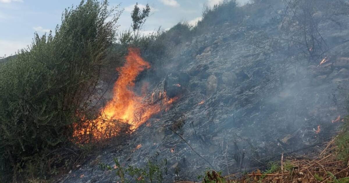 Incendio boschivo in località Carmiano, distrutti ettari di terreno