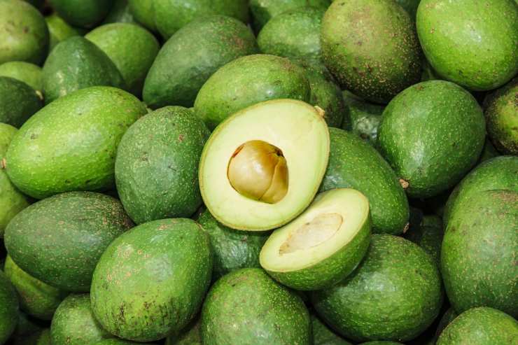 Olio di avocado quando utilizzarlo