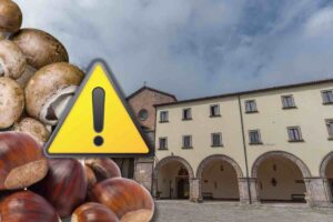 Roccamonfina, blitz alla Sagra della Castagna e del Fungo Porcino