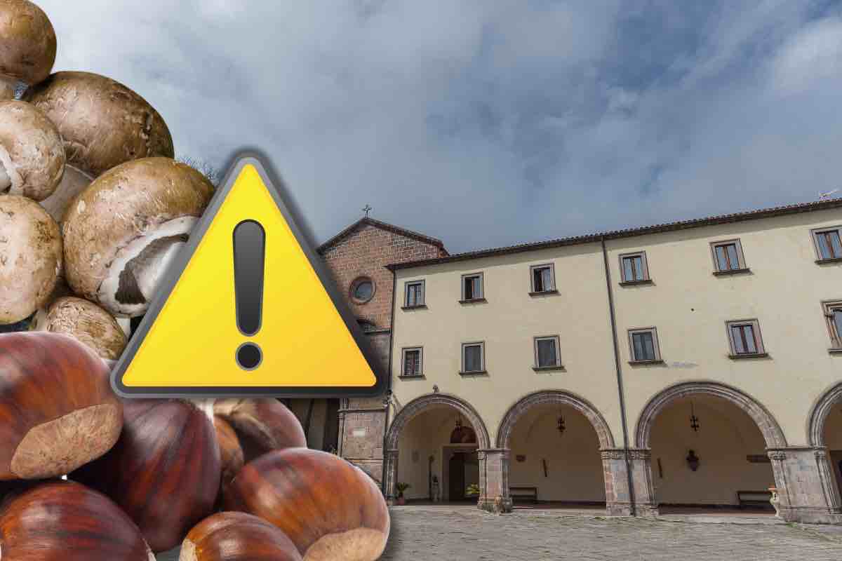 Roccamonfina, blitz alla Sagra della Castagna e del Fungo Porcino