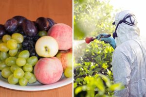 Frutta, uomo con pesticidi