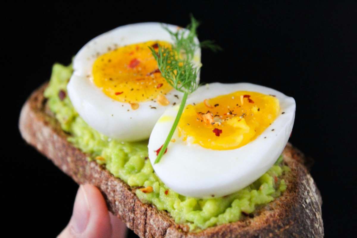 pane con avocado e uova